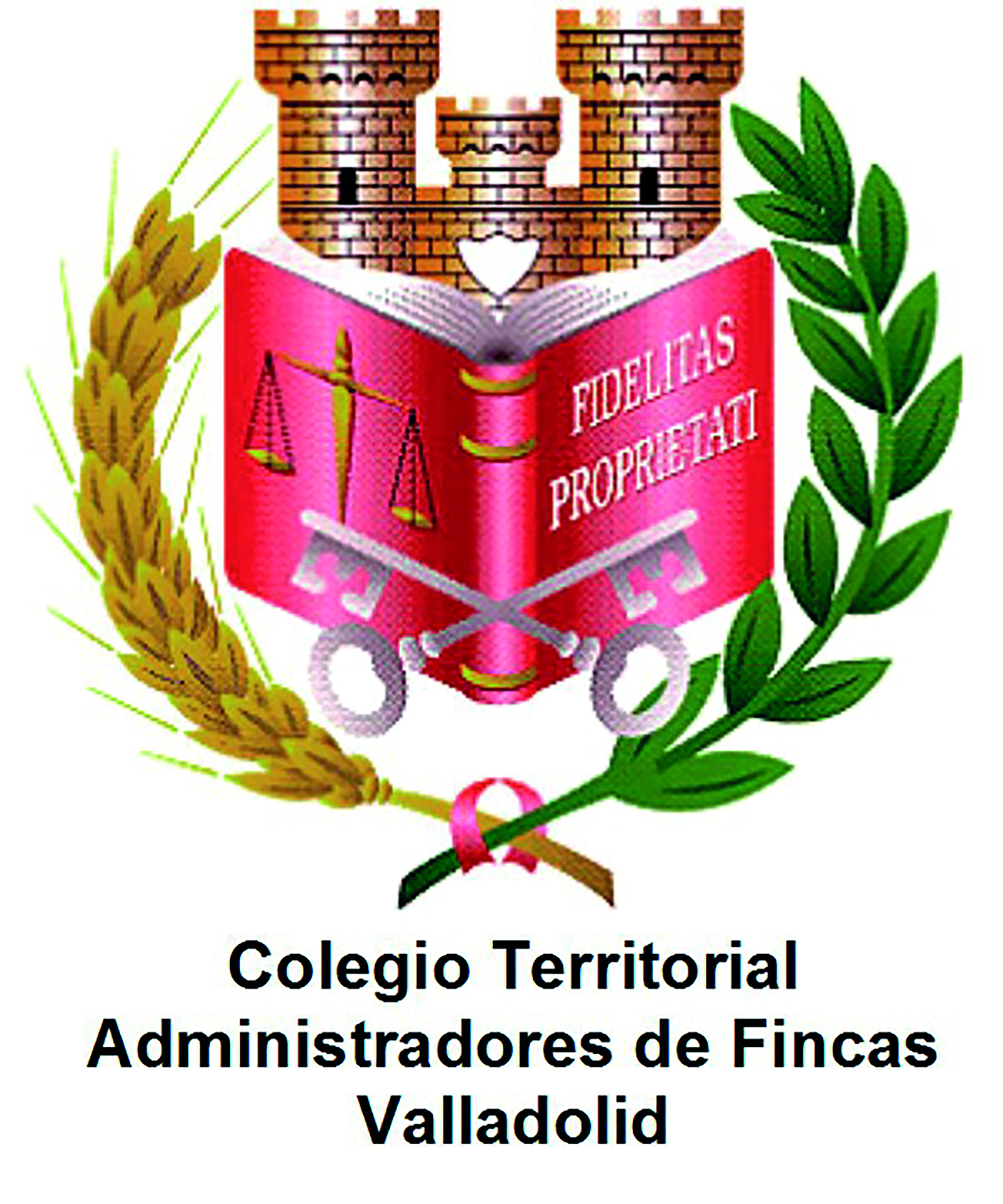 Logo de CAFCYL - Colegio de Administradores de Fincas de Valladolid