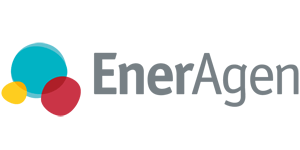 Logo de ENERAGEN - Asociación de Agencias Españolas de Gestion de la Energía